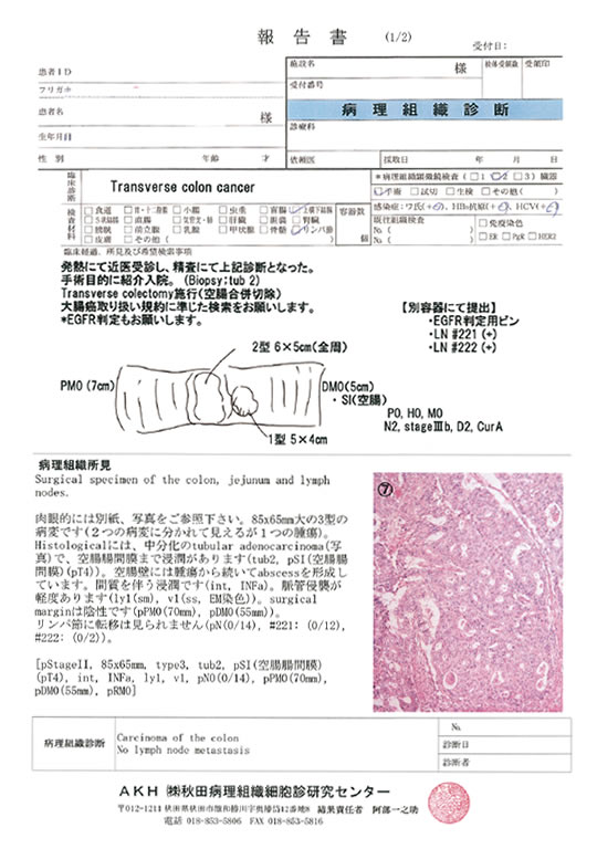 報告書1