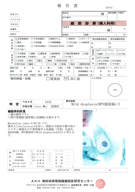 細胞診断報告書（婦人科用見本）